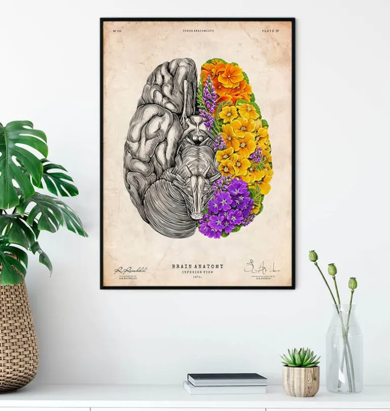 Cerveau avec des fleurs - Vieux papiers
