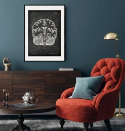 Cerveau disséqué - Chalkboard