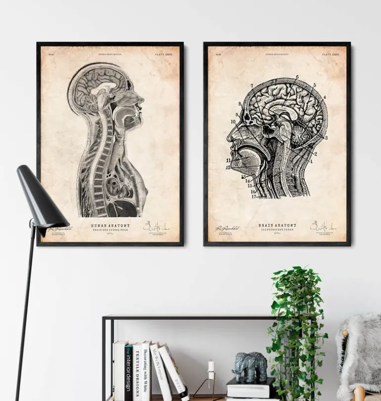 Cerveau et moelle épinière