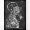 Cerveau et moelle épinière - Chalkboard