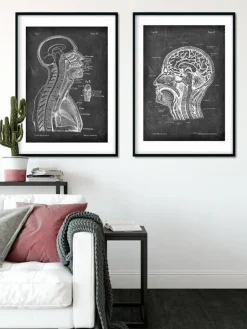 Cerveau et moelle épinière - Chalkboard