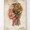 Cerveau Steampunk II
