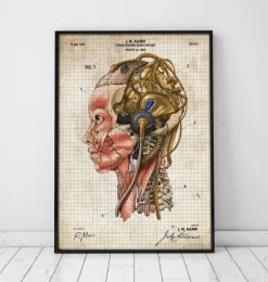 Cerveau Steampunk II