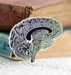Cerveau sur tableau noir - Pins