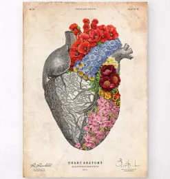 Coeur anatomique avec fleurs - Vieux papiers