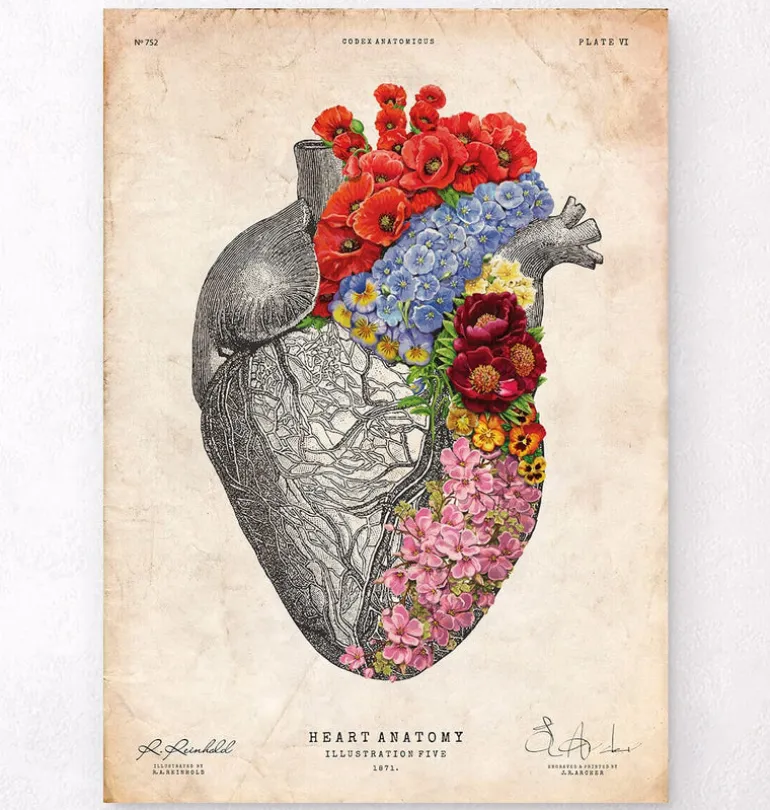 Coeur anatomique avec fleurs - Vieux papiers