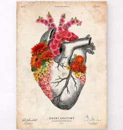 Coeur anatomique avec fleurs II - Vieux papier