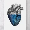Coeur coloré - Bleu