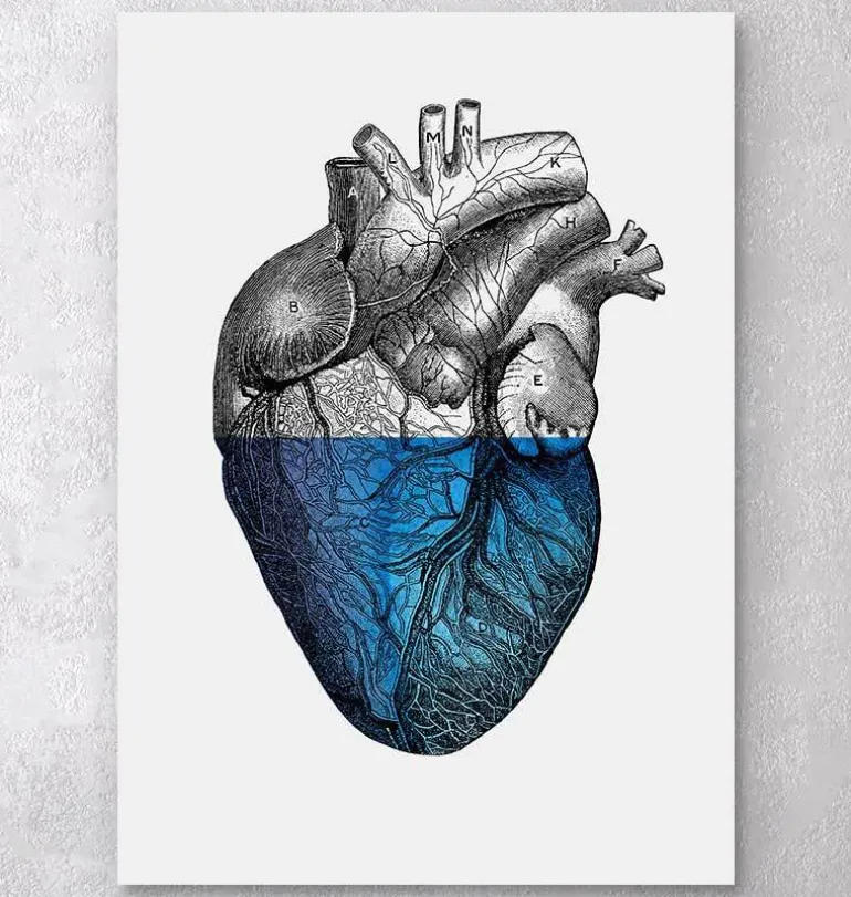 Coeur coloré - Bleu