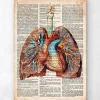 Coeur et poumons géométriques - Dictionnaire