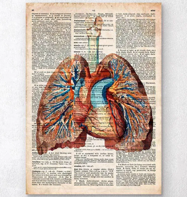 Coeur et poumons géométriques - Dictionnaire