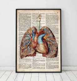 Coeur et poumons géométriques - Dictionnaire