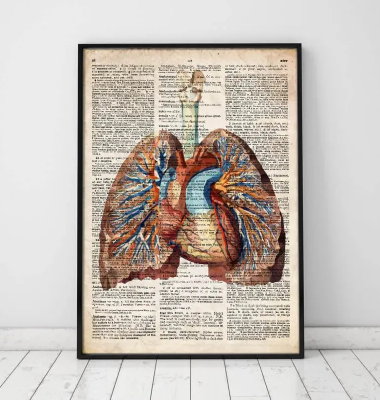 Coeur et poumons géométriques - Dictionnaire