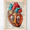 Coeur géométrique - Dictionnaire