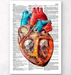 Coeur géométrique - Page du dictionnaire