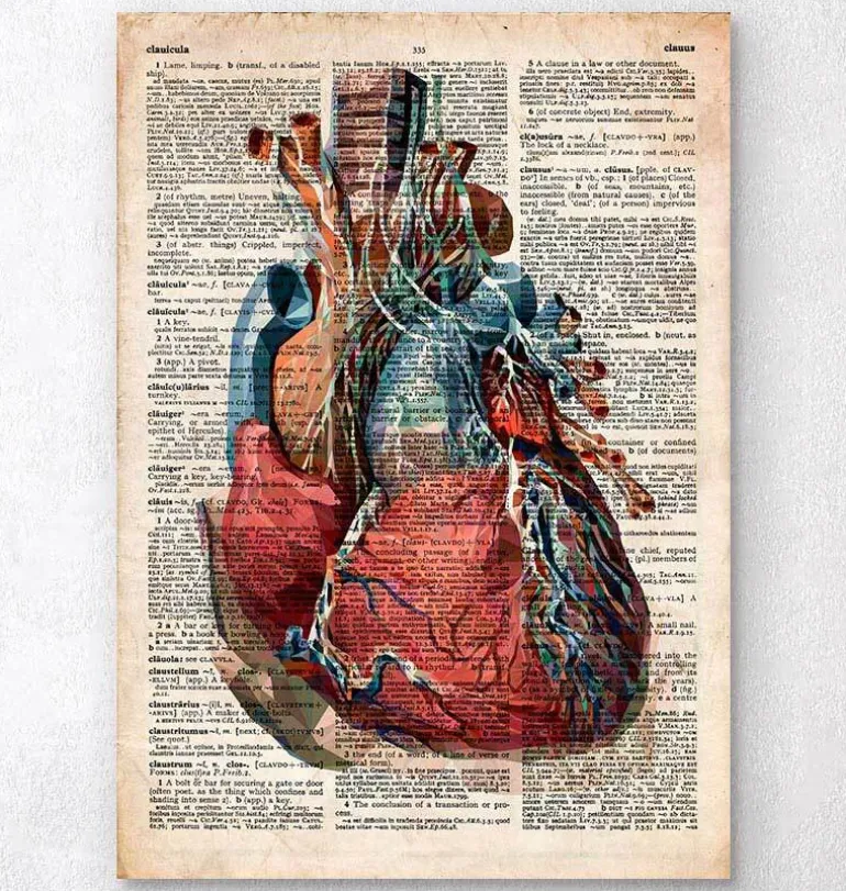 Coeur géométrique II - Dictionnaire