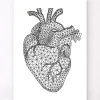 Coeur géométrique minimal