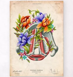 Cordes vocales - Floral - Vintage