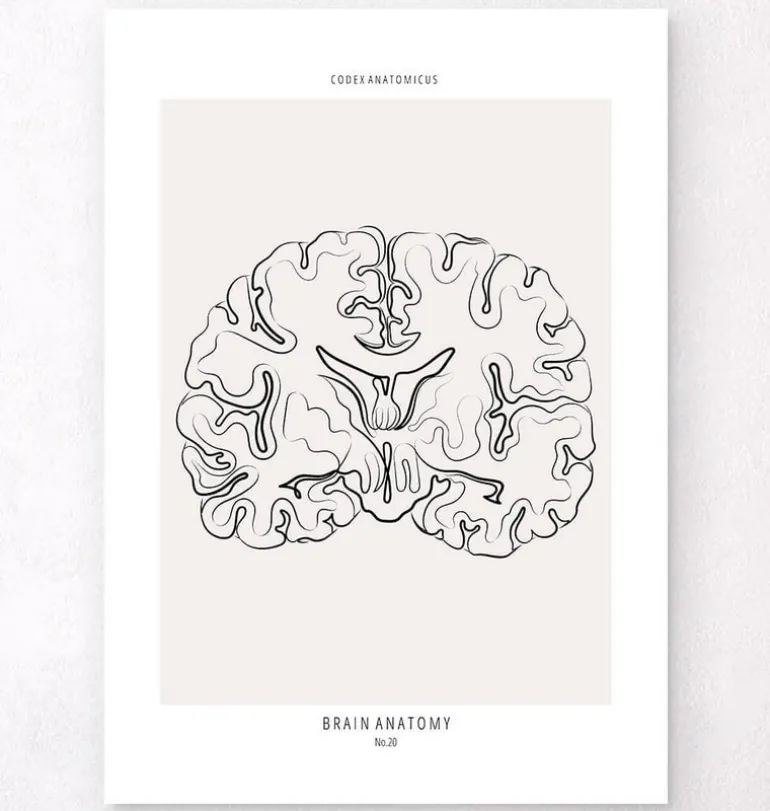 Coupe du cerveau - Line Art