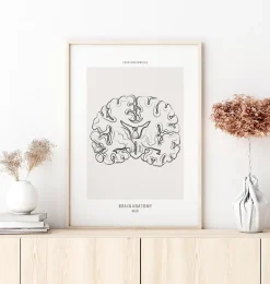 Coupe du cerveau - Line Art