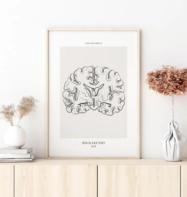 Coupe du cerveau - Line Art