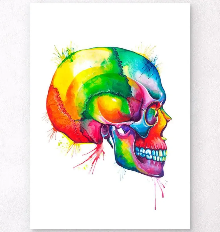 Crâne - Aquarelle