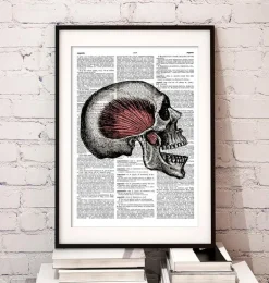 Crâne - Page Dictionnaire