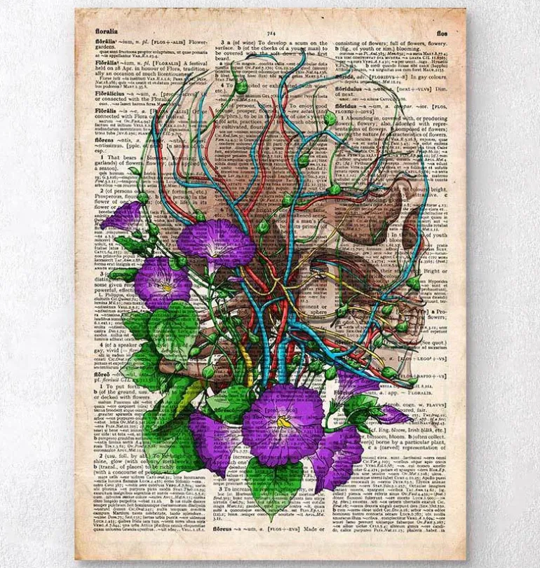 Crâne avec des fleurs - Dictionnaire