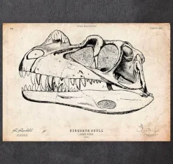 Crâne de dinosaure
