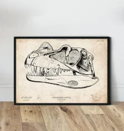 Crâne de dinosaure