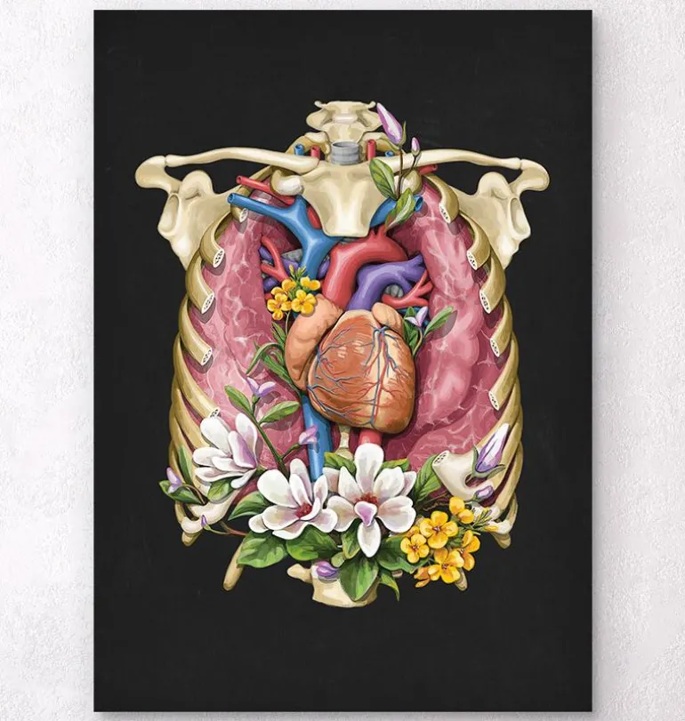 Cœur, poumons et cage thoracique - Noir