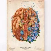 Démence - Floral - Vintage