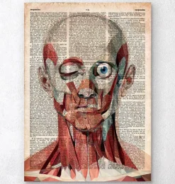 Face géométrique - Dictionnaire