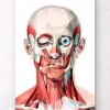 Face géométrique I