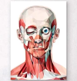 Face géométrique I