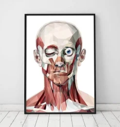 Face géométrique I