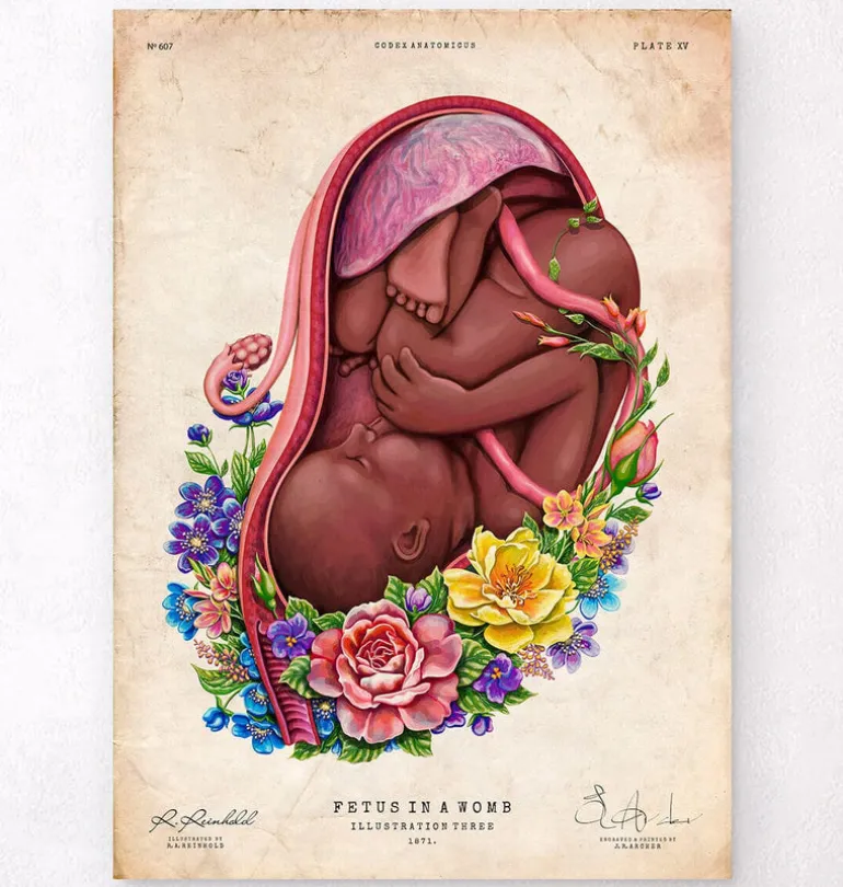 Foetus in a utérus - Floral - Blanc