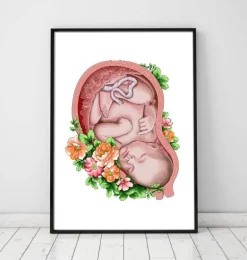 Foetus in a utérus II - Blanc
