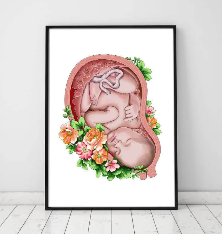 Foetus in a utérus II - Blanc