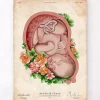 Foetus in a utérus II - Vieux papier