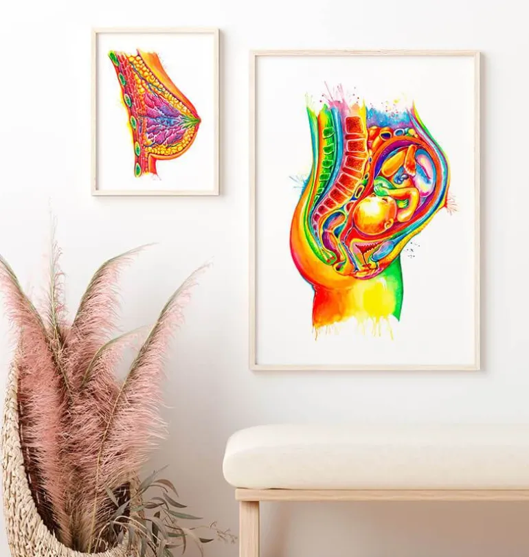Foetus in utero - Aquarelle