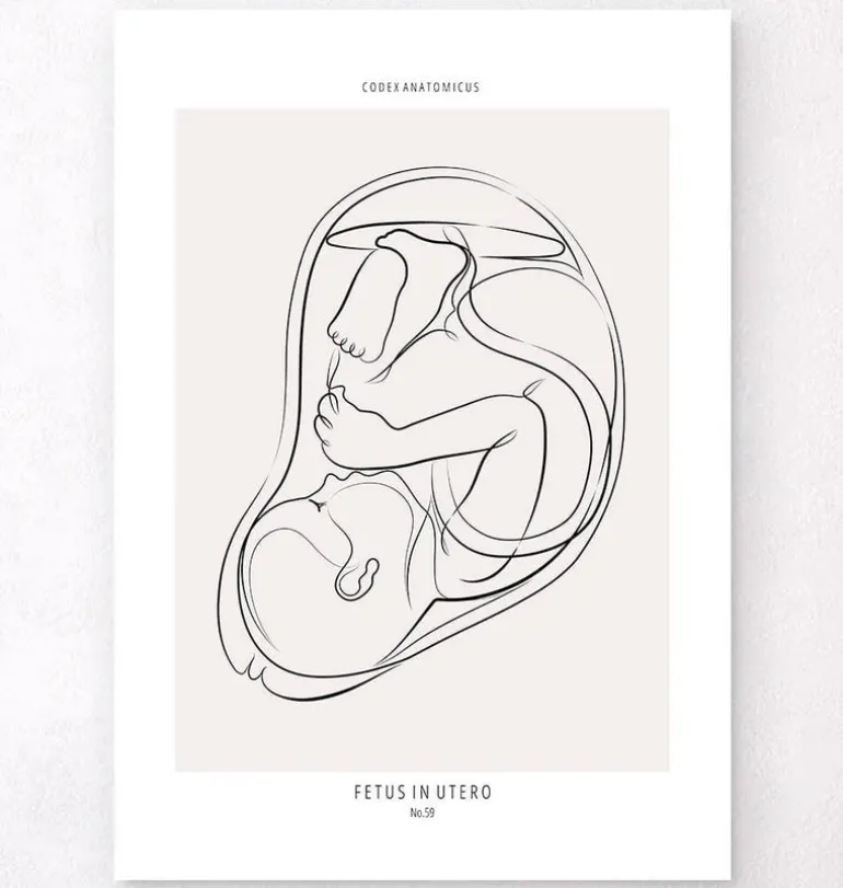 Fœtus - Line Art