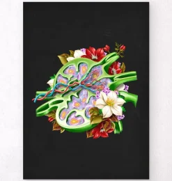 Ganglion lymphatique - Floral - Noir