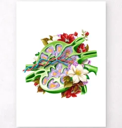 Ganglion lymphatique - Floral - Blanc