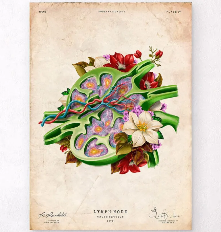Ganglion lymphatique - Floral - Vintage