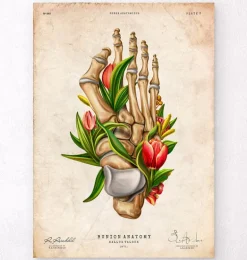 Hallux valgus - Floral - Vintage