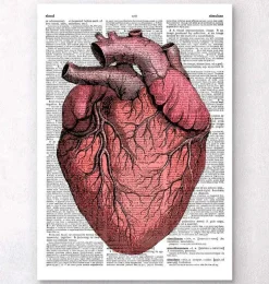 Heart anatomy II - Page du dictionnaire