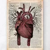 Heart II - Page du dictionnaire