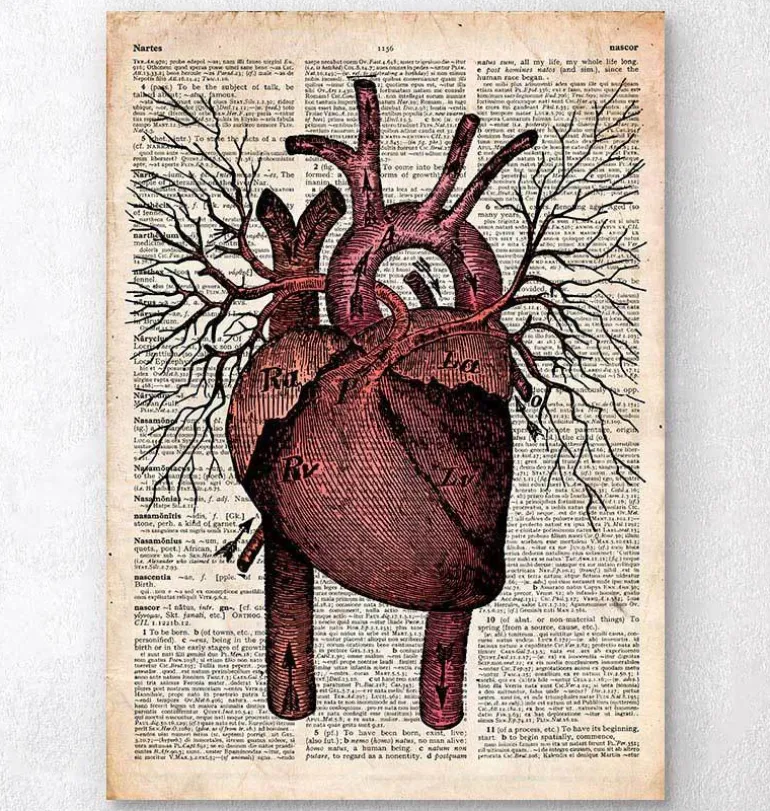Heart II - Page du dictionnaire