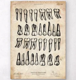 Impression d'art graphique de dents